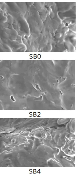 Fig.  3.  SEM  of  breads  with  various  sourdough  (×2000).