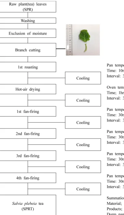 Fig.  1.  Manufacturing  processes  of  substitute  tea  using  Salvia  pleveia  R.  Br.