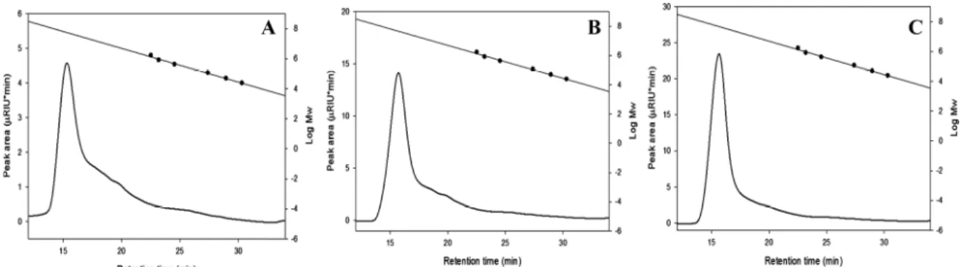 Fig.  2.  Amylopectin  molecular  weight  distribution  of  waxy  rice  starches  determined  by  HPSEC-RI  system