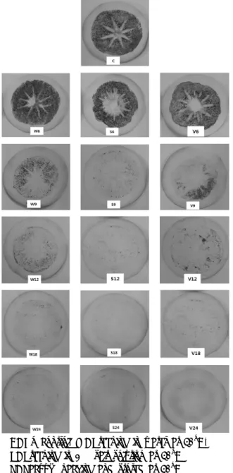 Fig. 1. Changes of astringency level of persimmon using different  astringency  removal  methods