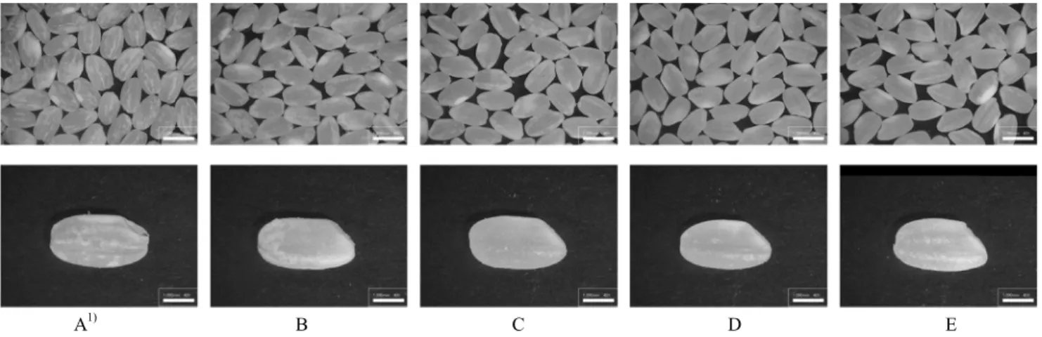 Table  3.  Water  binding  capacity  of  rice  by  the  different  milling  degrees