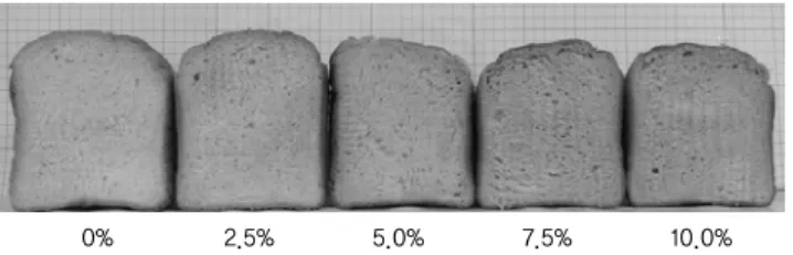 Fig. 2. Transverse section of breads with various levels  of paprika powder. 4.  조직감 파프리카  분말을  첨가한  식빵의  조직감을  3 일간  실온에  저장하면서  측정한  결과는 Table  4와  같다
