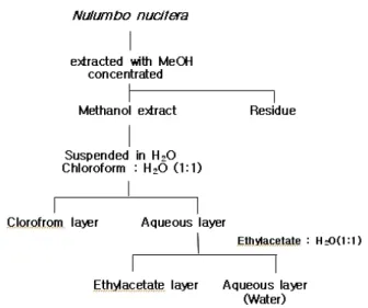 Fig. 1. Scheme of extraction and solvent fractionation of methanol extract from Nulumbo nucifera