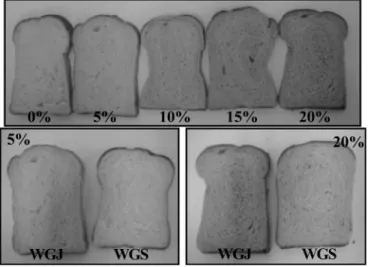 Table 6. Color characteristics of the breads added with varied contents of wild grape extracts(WGE) 1)