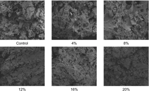 Fig. 1. Scanning electron microscopic photograph(×200) of the tofu added with saltwort springiness는  모든  시료간에  유의적이  차이를  보이지  않았다
