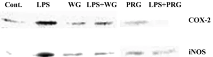 Fig. 2. The effect of WG and PRG on LPS-induced NO  production and cell viability in RAW 246.7 cells