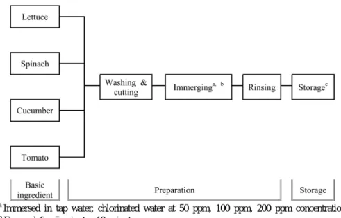 Fig. 1. Phase in product flow of vegetables in various phases by disinfection method본 연구는 급식소에서 이용되는 식품재료 중 세척공정 이후 가열조리 없이 바로 급식이 이루어지는 엽채류(상추,  시금치)와 과채류(오이,  토마토)를 대상으로 세척 및 염소소독을 실시한 후 저장 기간(0,1,3,5일)에 따라 미생물학적 품질 변화를 비교 평가함으로써 엽채류와 과채류의 채소군 별 소독 기준 확립