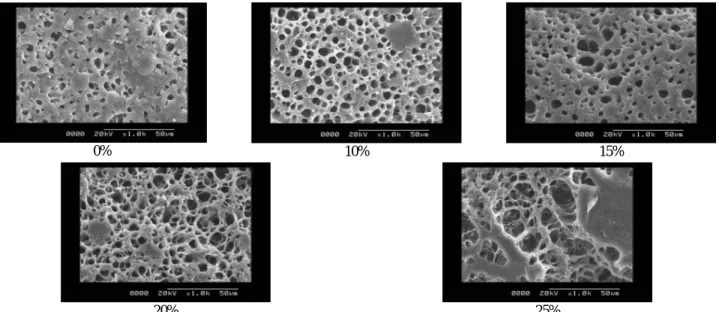Fig. 3. Scanning electron microscope(SEM) characteristics of sulgidduk prepared with fresh sweet potato at different condition  magnified 1,000 times