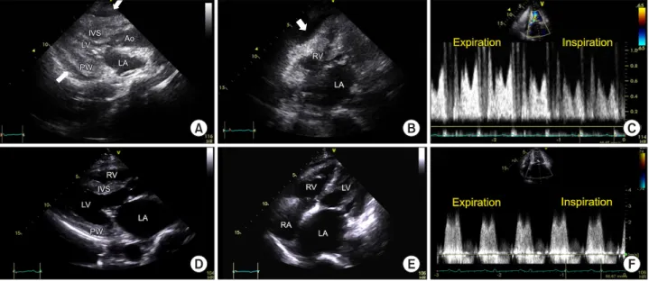 Figure 3.  Pathologic findings. 