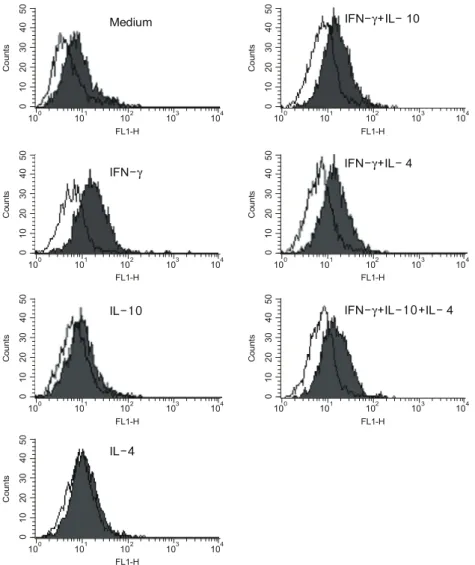Fig.  6.  IFN-γ  induced  CD40  expression  by  human  mesangial  cells  was  not  influenced  by  Th2  cytokines
