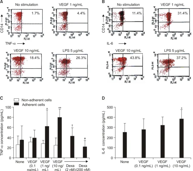 Fig.  3.  Monocytes  and  synovial  fibroblasts  are  major  cell  types  responding  to  VEGF  stimulation