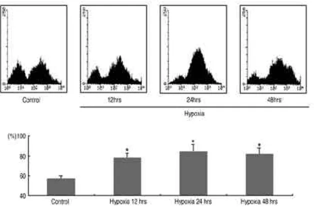 Fig. 1. ICAM-1 expression in synovial fibroblasts cultured in hypoxic condition. Cell surface ICAM-1 expression was analyzed after 12, 24, 48 hours of hypoxic stimuli, and compared with control sample (normoxic culture)