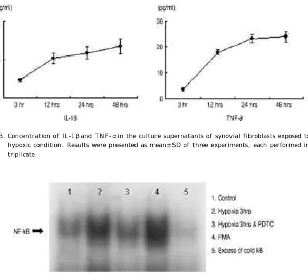 Fig. 4. N F -κ B activation in rheumatoid synovial fibroblasts exposed to hypoxic cul- cul-ture condition with/without antioxidant PDTC (200μ M) and phorbol  12-myristate 13-acetate (PMA, 100 nM as a positive control) as determined by electrophoretic mobil