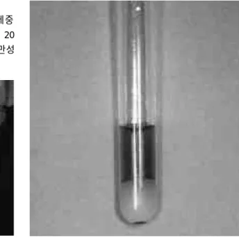 Fig. 1. There are ulcerative purpuric lesions on knee Fig. 2. Cryoglobulin can be detected by separat- separat-ing the serum from a blood sample at 37℃