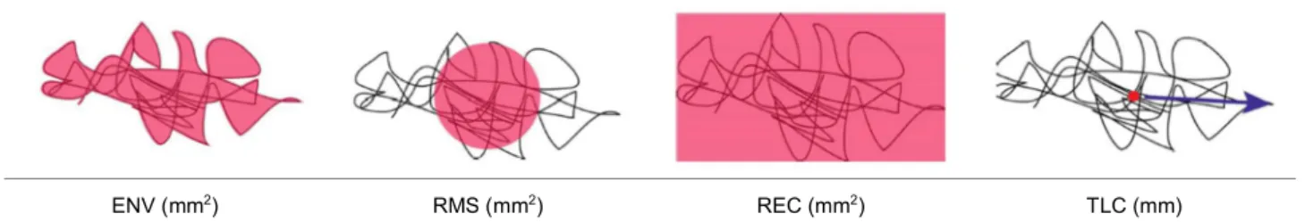 Figure 2. Balance variable