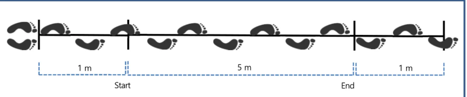 Figure 3. Measurement of 5 m habitual and maximum walk 