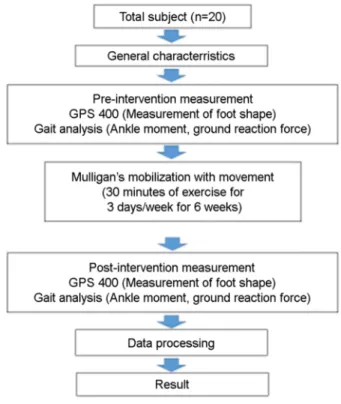 Figure 1. Experimental design 