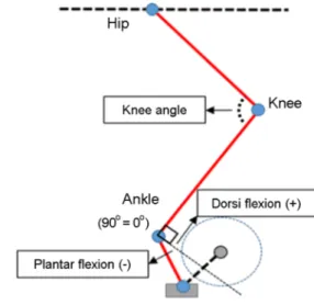 Figure 3. Definition of the joint angle 