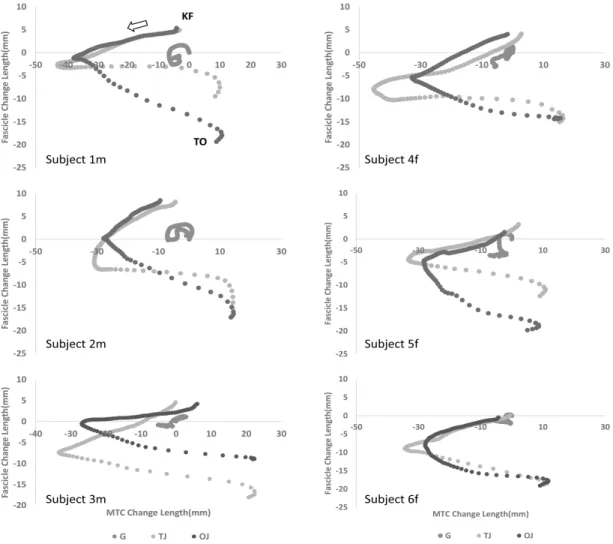 Figure 5. Changes of length of the MG muscle-tendon complex and its fascicle during gait(G), two-legged jump(TJ) and one-legged jump(OJ) for individual subjects; KF: the instant of initiation of knee flexion, TO: the instant of toe-off