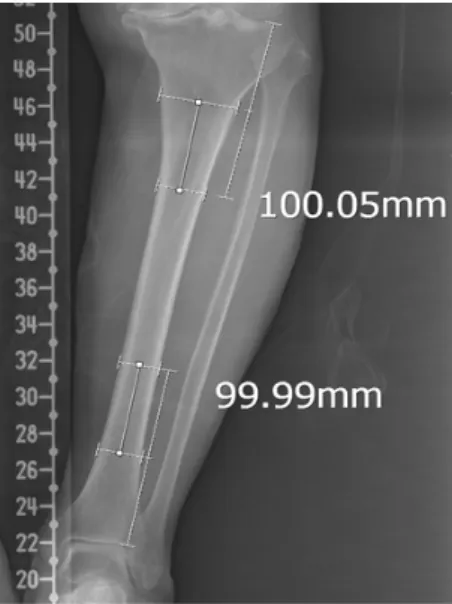 Figure 5. Phase of the Gait