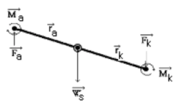 Figure 1. Free body diagram in lower extremity (Lim,2007;
