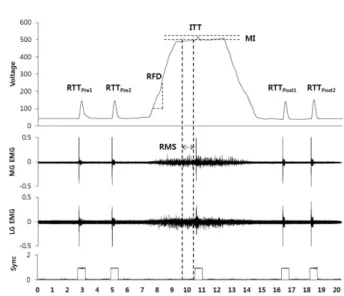 Figure 4.  Maximum voluntary isometric contraction and electromyograms. The plantar flexion torque during a maximum isometric contraction with the pre (RTTPre) and post (RTTPost) resting and  inter-polated twitch torques are shown at the top panel.