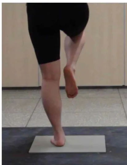Figure 2. Fatigue protocols (heel raise &amp; harvard step)