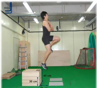 Figure 1. Landing heights &amp; force plate condition