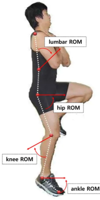 Figure 3. Joint ROM