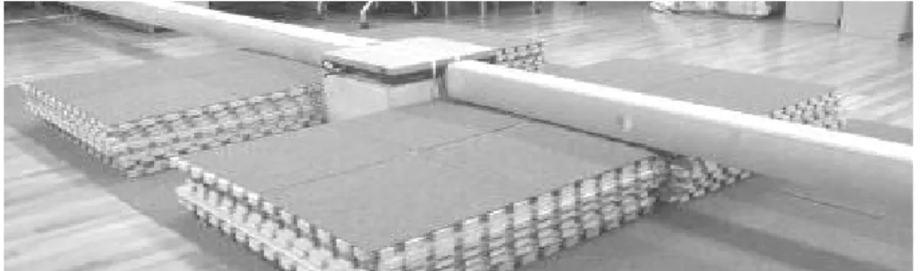 Figure 1. Balance beam arrangement