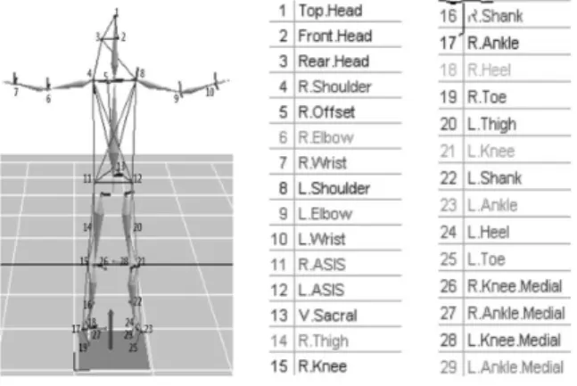 Figure 2. Markers Position