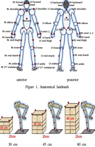 Figure 1. Anatomical landmark
