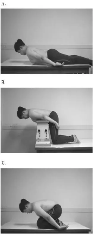 Figure 2. Trunk Lift exercise