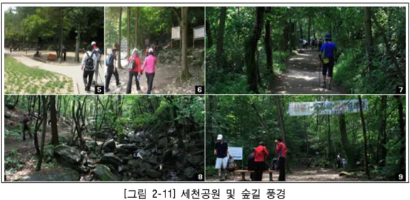 그림 세천공원 및 숲길 풍경[2-11] 수원지 언저리의 산길을 지나면 더욱 길은 넓어지고 평지 같은 길은 계속되며, 성인 명이 여유 있게 나란히 걸을 수 있을 정도로 잘 닦아놓은 이 길은 길의5 중앙에 침목만한 크기의 나무를 연이어 깔아놓아 생태보존지역을 지나고 있음을 암시하고 있음 생태탐방로로 조성된 이 길은 세천유원지 갓길을 지나고부터 철탑사거리로 이어 지는 갈림길까지 1km 임 갓길 끝에서 갈림길까지 1km 의 거리를 두고 해발 27m 의 고도를 높