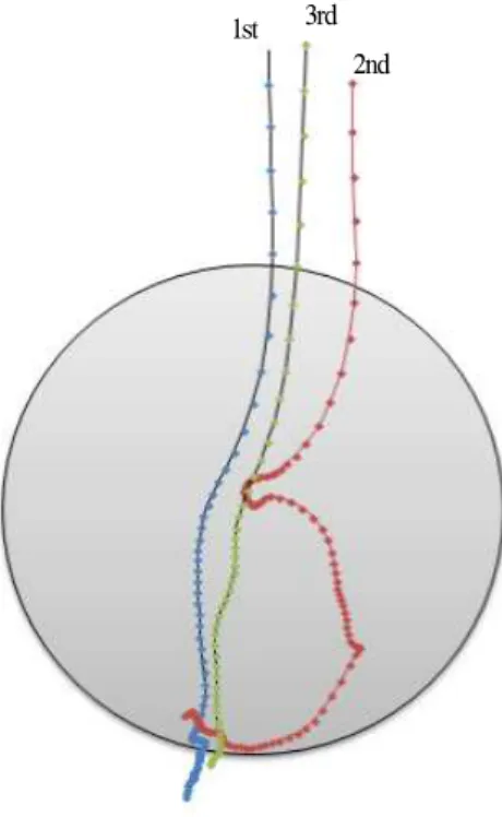 Figure 6. Trajectory of the shot