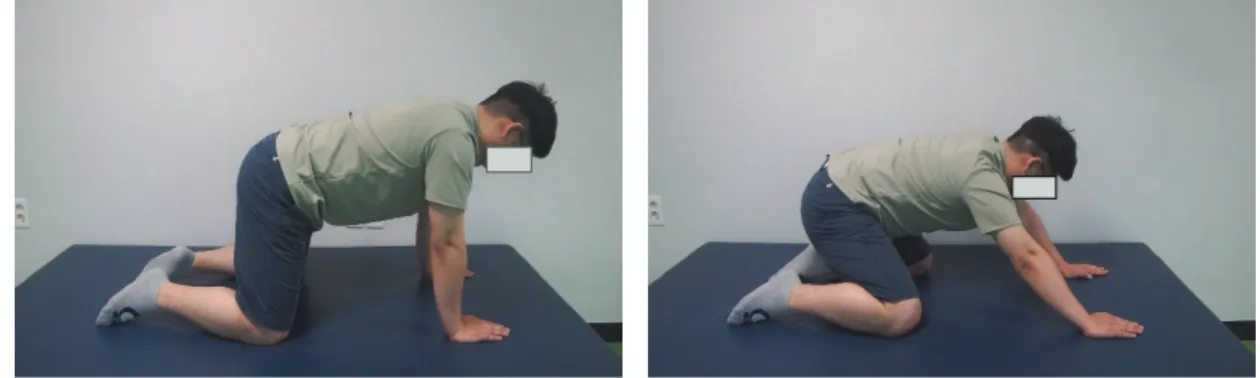 Fig.  3.  shoulder  stabilization  exercises.