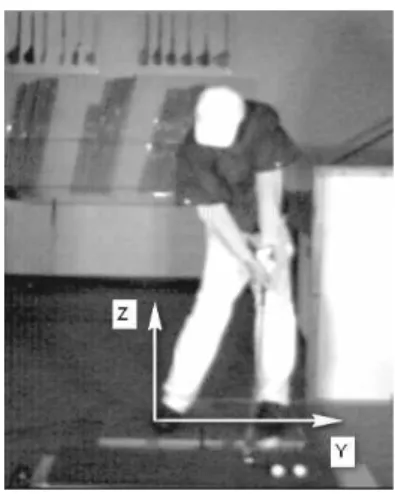 Figure 1. Experimental setup and coordinate system of the force platforms