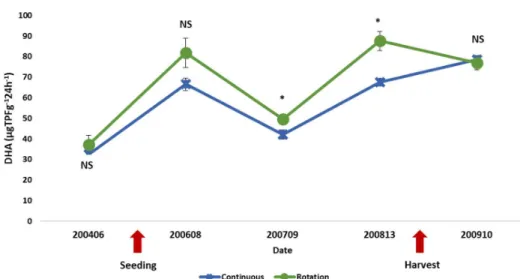 Fig. 3. Soil hardness of two potato cropping systems with soil depth (T-test, NS: no significance, average ± standard error).