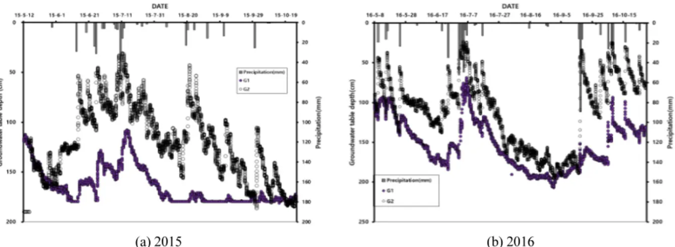 Fig. 3. Variation of groundwater table depth in two experimental fields(G1, G2) for 2015-2016 growing seasons in  Saemangeum reclaimed land