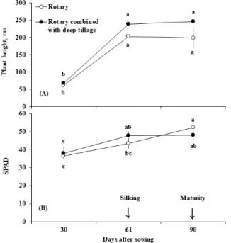 Fig. 2. Plant height (A) and SPAD values (B) of waxy corn (cv. Ilimichal) grown as sequential cropping at different tillage  conditions (rotary only vs