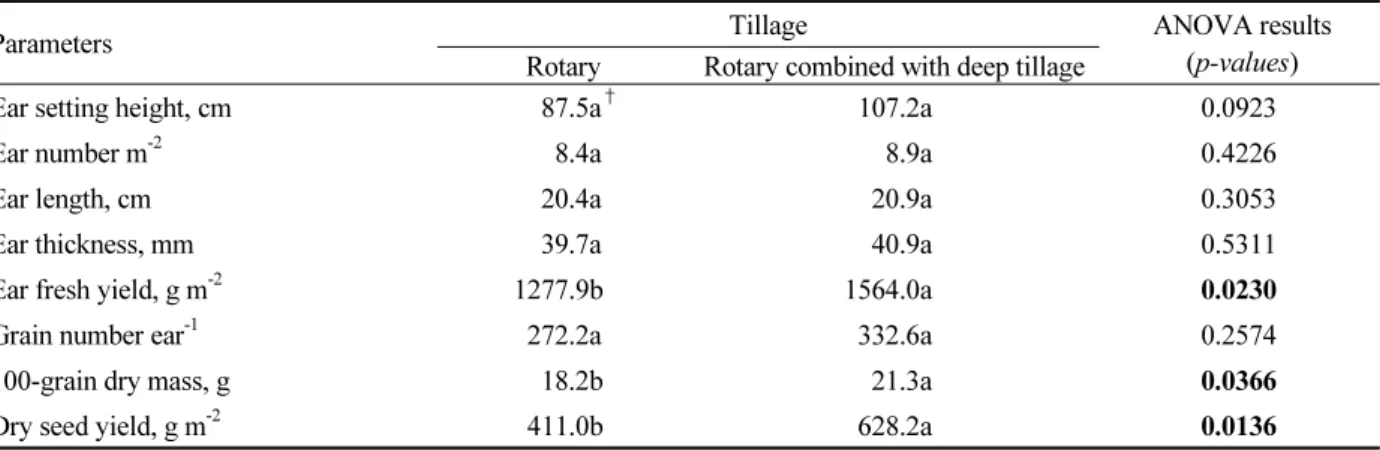 Table 2. Yield parameters of waxy corn (cv. Ilmichal) as affected by different tillage in converted upland field from  paddy field.