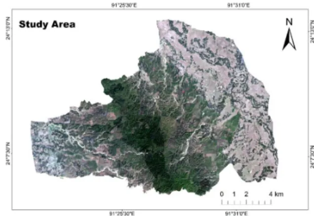 Fig. 1. Map of the study area (combination of band 2, 3 and 4 of landsat 8  OLI image).