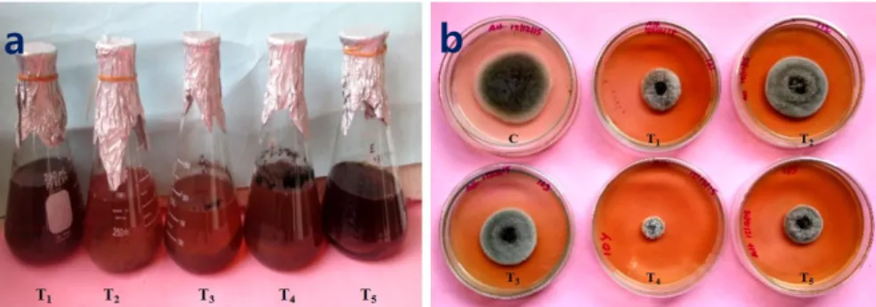 Table 2. Effect of  Trichoderma  strains on seed germination % and  vigour index of Ashwagandha under different treatments 