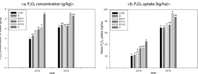 Fig. 2. P 2 O 5  concentration (g/kg) and uptake (kg/ha) of maize as affected by green manure treatment; no green manure  (CON), barley single (B), barley and hairy vetch 2:1 mixture (B2H1), 1:1 (B1H1), 1:2 (B1H2), and hairy vetch single (H).
