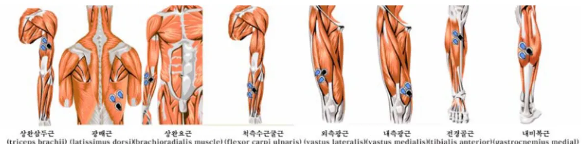 그림 1.  각  근육의 표면전극 부착  부위 Service box Back wallFront wall Side wall Cam #1 Cam #2 Cam #3 Cam #4StartpositionGoalpositionApproach direction 1Approachdirection 2Approach direction 3Ball directionHittingposition 1Hittingposition 2Hittingposition 3XZY APAS PCM