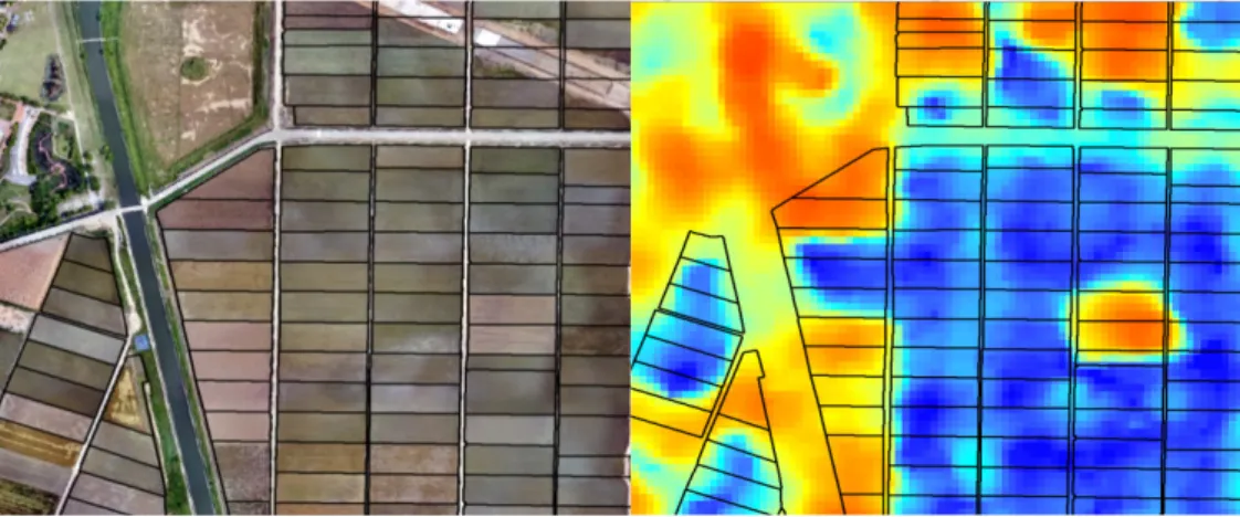Fig. 3. An UAV image taken over paddy fields (left) and irrigated paddy areas classified (right)