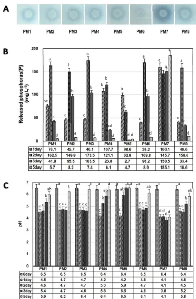 Fig. 2.  Plate assay (A) and liquid assay (B) for phosphate solubilizing activity and pH change (C) of 8 Pseudomonas  species (PM1 - PM8)