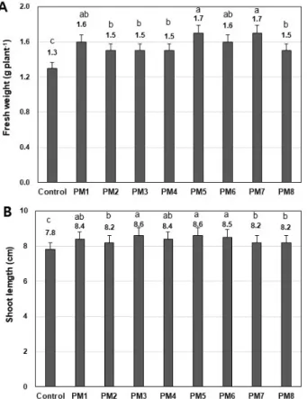 Fig. 5.  Effects of isolated 8 Pseudomonas species (PM1 - PM8) inoculation on growth of lettuce seedlings