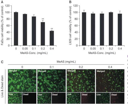 Fig. 1.  Effect of methanol extracts of Asarum  sieboldii (MeAS) on FaDu and L929 cell  vi-ability