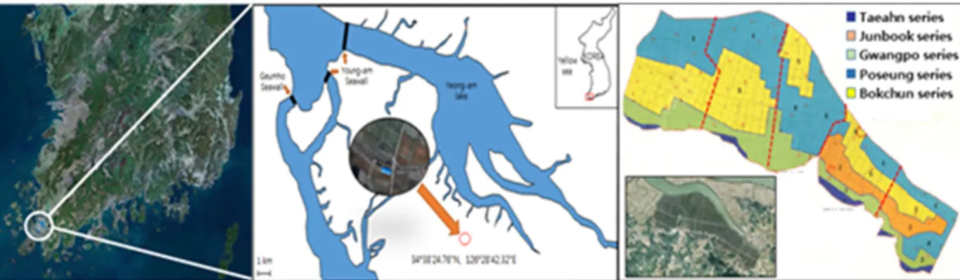 Fig. 1. Index map and Locations of soil profile investigation pits and soil sampling points for five soil series within the  experimental site at the RTFS within the Haenam Bay
